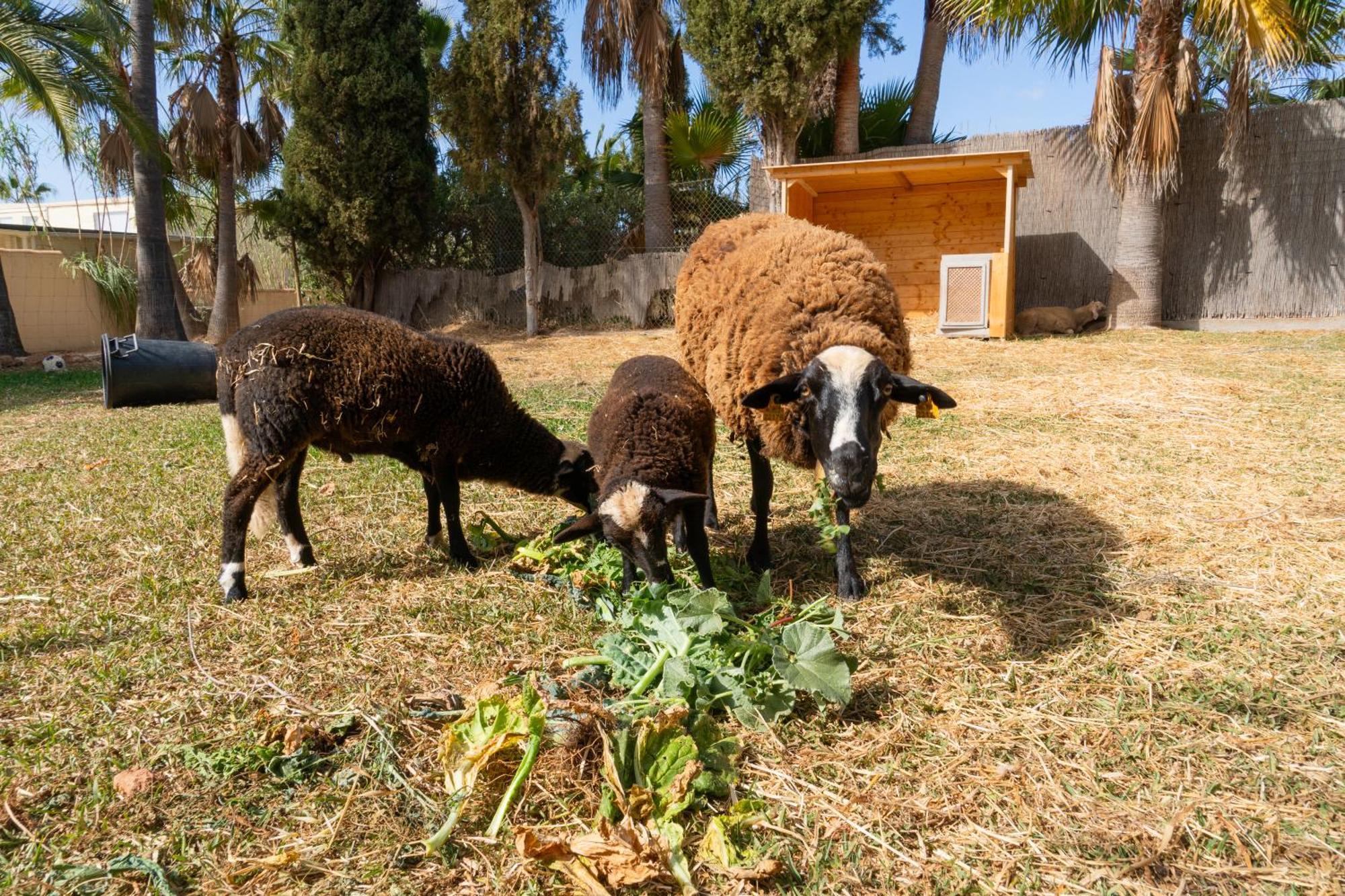 Finca Amapola - Agrotourismus Campos  Bagian luar foto